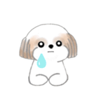 Stickers_Shih Tzu_ja シーズースタンプ（個別スタンプ：6）