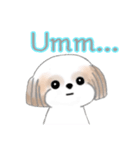 Stickers_Shih Tzu_ja シーズースタンプ（個別スタンプ：10）