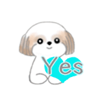 Stickers_Shih Tzu_ja シーズースタンプ（個別スタンプ：17）