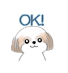 Stickers_Shih Tzu_ja シーズースタンプ（個別スタンプ：19）