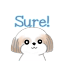 Stickers_Shih Tzu_ja シーズースタンプ（個別スタンプ：20）