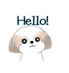 Stickers_Shih Tzu_ja シーズースタンプ（個別スタンプ：23）