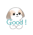 Stickers_Shih Tzu_ja シーズースタンプ（個別スタンプ：25）