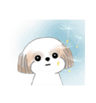 Stickers_Shih Tzu_ja シーズースタンプ（個別スタンプ：33）