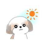 Stickers_Shih Tzu_ja シーズースタンプ（個別スタンプ：34）