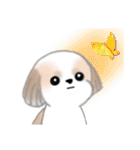 Stickers_Shih Tzu_ja シーズースタンプ（個別スタンプ：35）