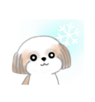 Stickers_Shih Tzu_ja シーズースタンプ（個別スタンプ：36）