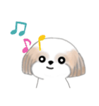 Stickers_Shih Tzu_ja シーズースタンプ（個別スタンプ：37）