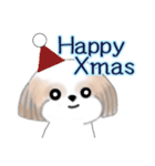 Stickers_Shih Tzu_ja シーズースタンプ（個別スタンプ：40）