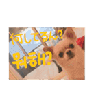 クリームです。（個別スタンプ：4）