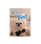 クリームです。（個別スタンプ：18）