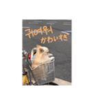 クリームです。（個別スタンプ：25）
