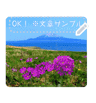 礼文島の花風景(自由文字スタンプ) Vol.1（個別スタンプ：3）