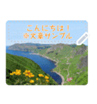 礼文島の花風景(自由文字スタンプ) Vol.1（個別スタンプ：5）