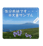 礼文島の花風景(自由文字スタンプ) Vol.1（個別スタンプ：7）