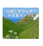 礼文島の花風景(自由文字スタンプ) Vol.1（個別スタンプ：8）