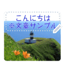 礼文島の花風景(自由文字スタンプ) Vol.1（個別スタンプ：10）