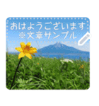 礼文島の花風景(自由文字スタンプ) Vol.1（個別スタンプ：11）