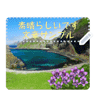 礼文島の花風景(自由文字スタンプ) Vol.1（個別スタンプ：14）