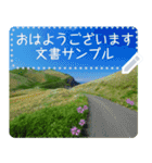 礼文島の花風景(自由文字スタンプ) Vol.1（個別スタンプ：15）