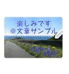 礼文島の花風景(自由文字スタンプ) Vol.1（個別スタンプ：18）