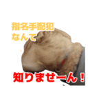 ココの挨拶！（個別スタンプ：24）