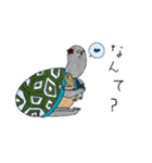 ALOHA！！TACOSKUN stamp！（個別スタンプ：22）