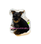 maxのすたんぷ2（個別スタンプ：2）
