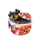 maxのすたんぷ2（個別スタンプ：3）