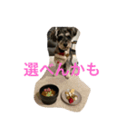 maxのすたんぷ2（個別スタンプ：8）