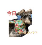 maxのすたんぷ2（個別スタンプ：11）
