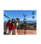 maxのすたんぷ2（個別スタンプ：14）