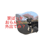 maxのすたんぷ2（個別スタンプ：15）