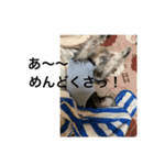 maxのすたんぷ2（個別スタンプ：16）