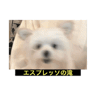 使いにくい字幕犬など2(ッー)（個別スタンプ：7）