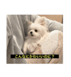 使いにくい字幕犬など2(ッー)（個別スタンプ：19）