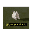 使いにくい字幕犬など2(ッー)（個別スタンプ：26）