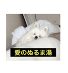 使いにくい字幕犬など2(ッー)（個別スタンプ：28）