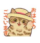 夏の猫たち（個別スタンプ：1）