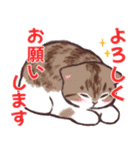 夏の猫たち（個別スタンプ：6）