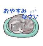 夏の猫たち（個別スタンプ：13）