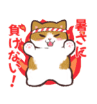 夏の猫たち（個別スタンプ：25）