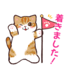 夏の猫たち（個別スタンプ：29）