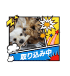tete ＆ cota ①（個別スタンプ：18）