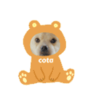 tete ＆ cota ①（個別スタンプ：28）