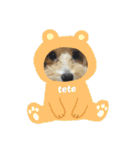 tete ＆ cota ①（個別スタンプ：29）