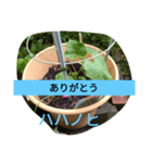 月山線スタンプ日薬壱ハハノヒきゅり山弐（個別スタンプ：3）
