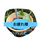 月山線スタンプ日薬壱ハハノヒきゅり山弐（個別スタンプ：6）