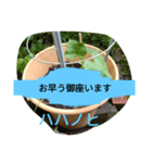 月山線スタンプ日薬壱ハハノヒきゅり山弐（個別スタンプ：7）