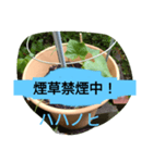 月山線スタンプ日薬壱ハハノヒきゅり山弐（個別スタンプ：8）